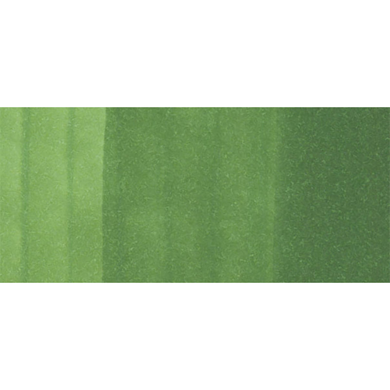 Copic Classic YG67 Moss